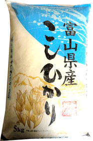 Toyama Koshihikari Rice 5kg【富山コシヒカリ 5kg】
